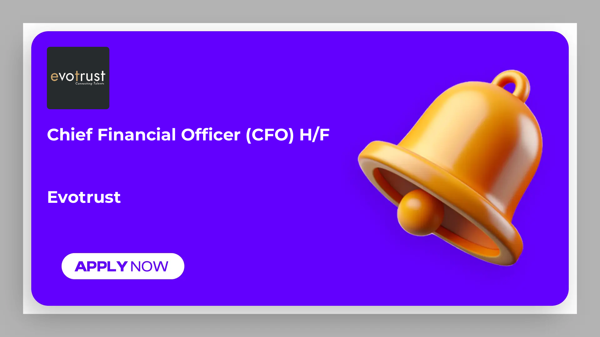 Chief Financial Officer (CFO) H/F