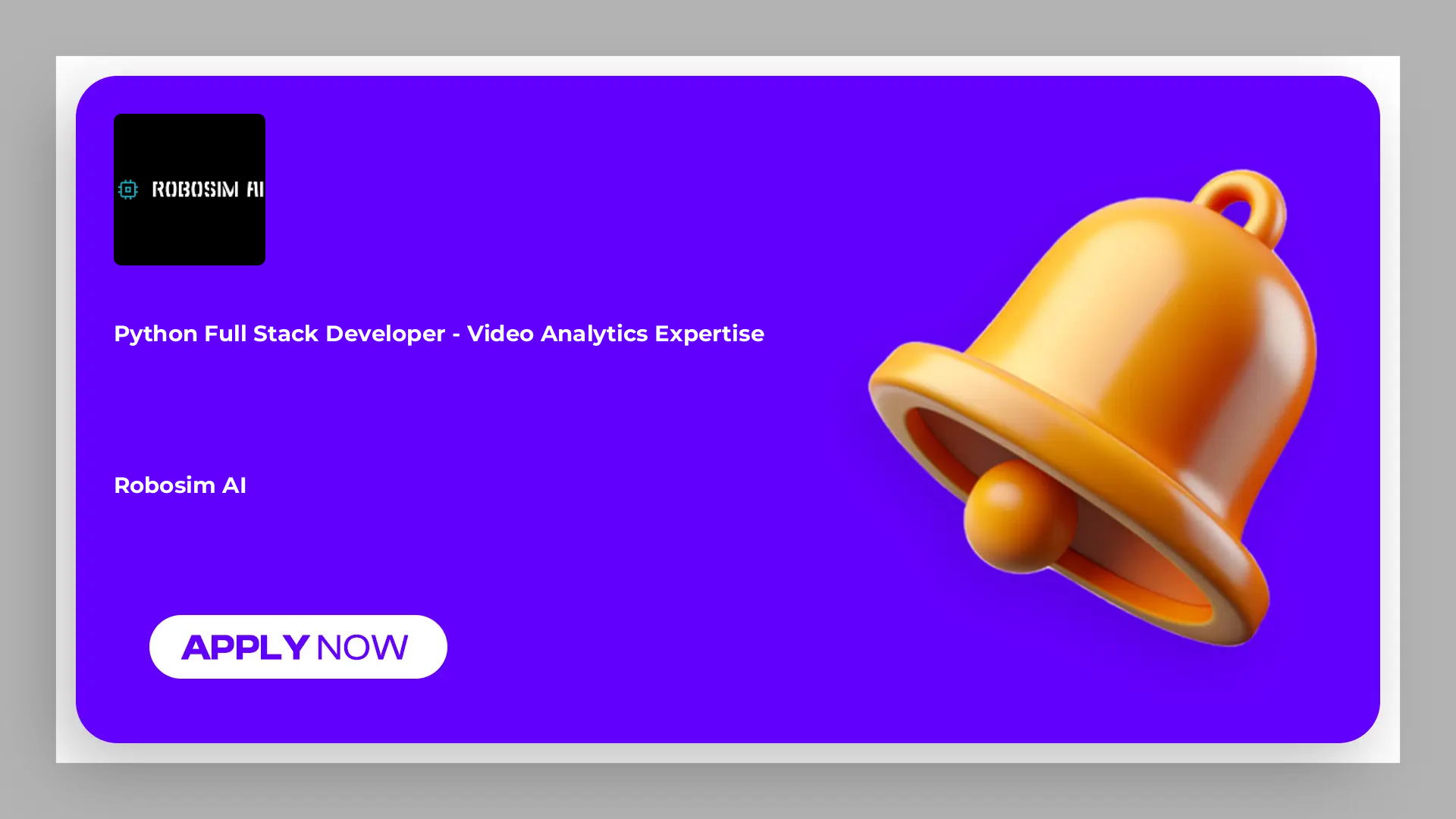 Python Full Stack Developer - Video analytics expertise